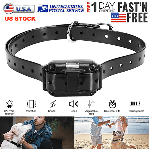 Dog Training Collar Receiver IP67 Waterproof Dog Bark Shock Collar Accessories Adjustable Belt Rechargeable Without Remote Controller