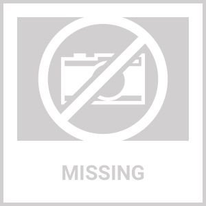 5FT Light Up Dog Leash LED Dog Leash Dog Walking Leash with 9 Light Colors IPX7 Waterproof USB Rechargeable