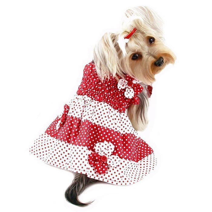 Red & White Polka Dots Sundress with Contrasting Flowers (Color: Red/White, size: XS)