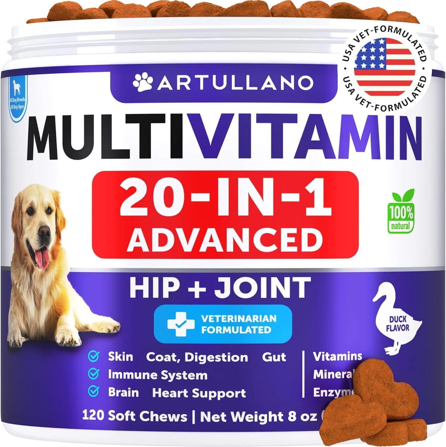 Dog Multivitamin Chewable With Glucosamine 20 In 1 Dog Vitamins And Supplements Senior & Puppy Multivitamin For Dogs Pet Joint Support Health Imm (Option: Artullano)