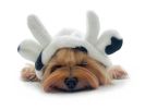 Ultra Plush Moo Cow Hooded Pajamas